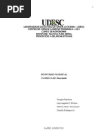 Inventario Florestal 