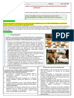 SEMANA 16-CyT-1ºy 2º