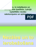 4. NEZALES 2022