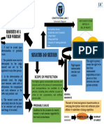 Fuentes-Searches and Seizures Schematic