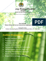 Peluang Pemanfaatan Bambu Di Indonesia - 19 June 19