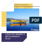 Lingayen Product Development Plan - Copy 2