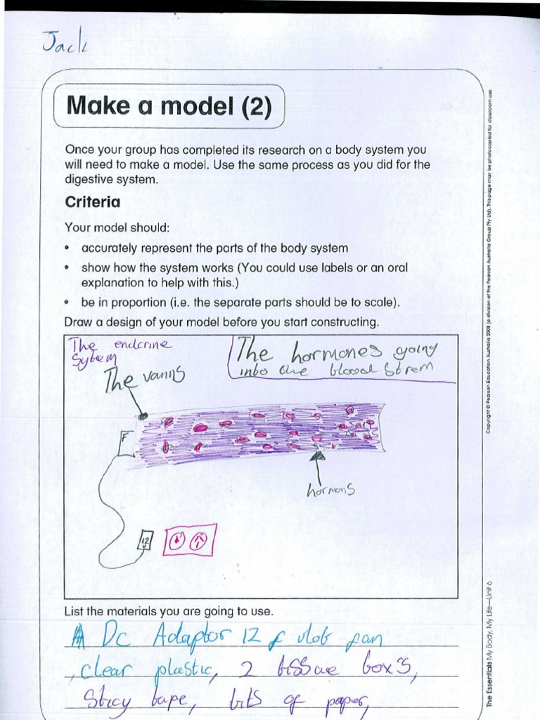 Body System Model Project Guide | PDF | Teaching Methods & Materials ...