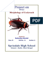 Project On: Sprindale High School
