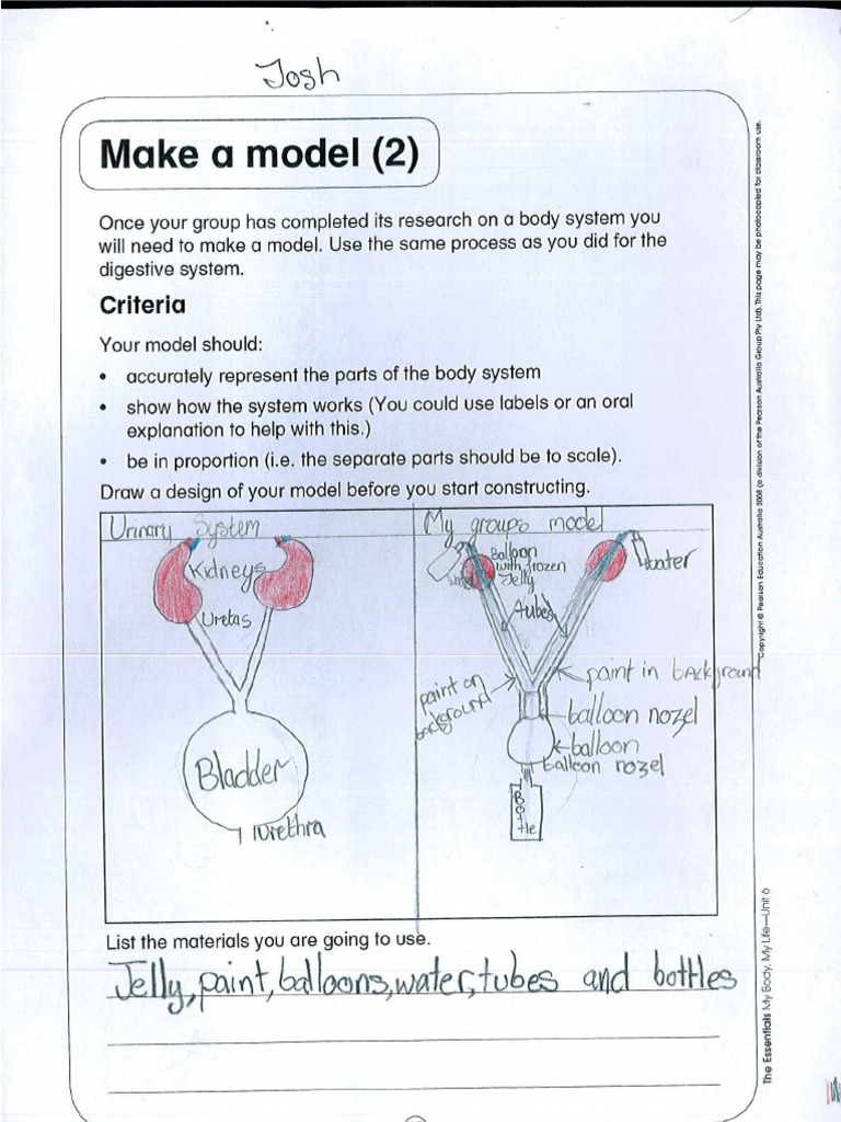 Body System Model Creation Guide | PDF