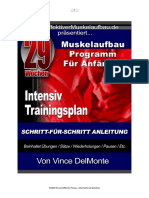 Anfaenger Trainings Programm