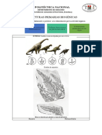 Estructuras Primarias Biogénicas