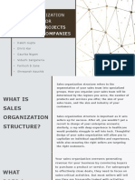 Sales Organization Structure For Software Projects For Large