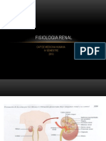 Fisiologia Renal