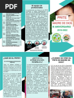 Triptico General Prite MDD