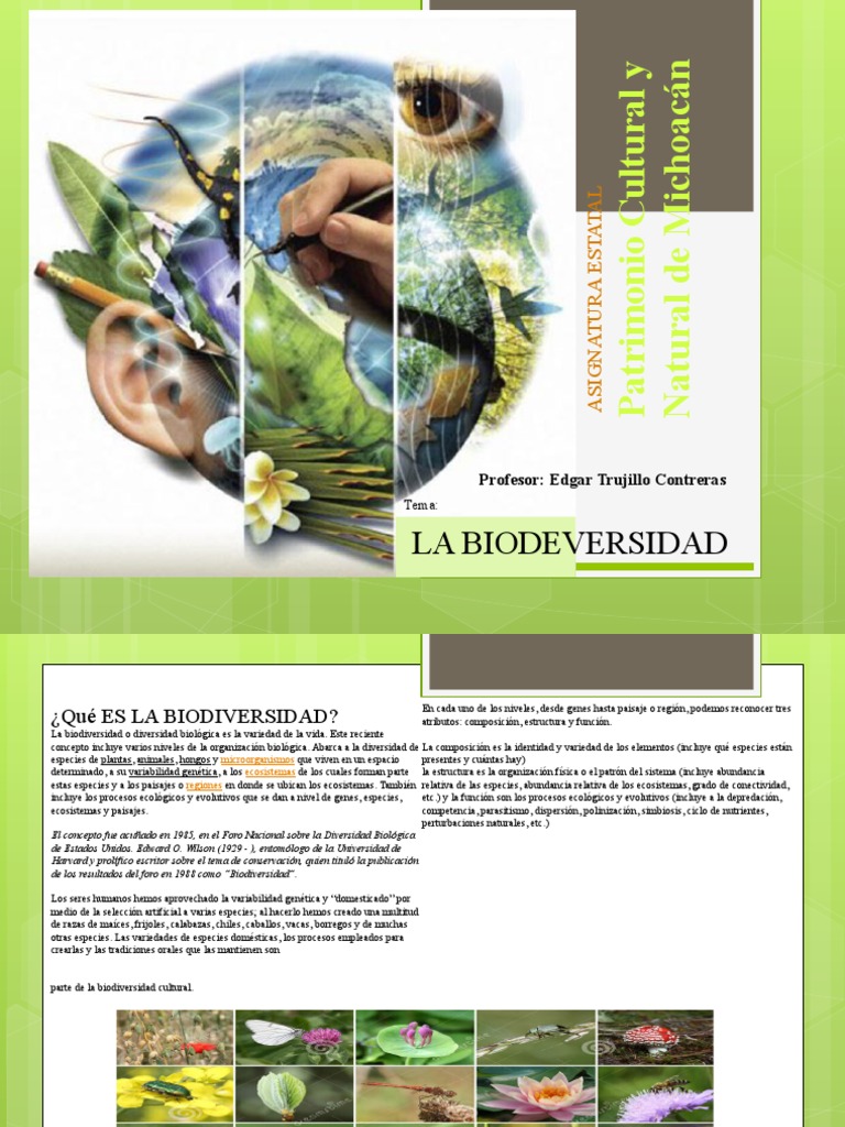 Biodiversidad en Michoacan | PDF | Ecosistema | Biodiversidad