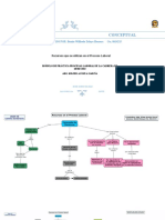 Elaboracion de Mapa Conceptual BWZH v1