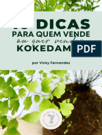 Ebook 10dicas Compressed