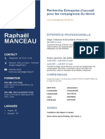 CV Manceau Raphaël