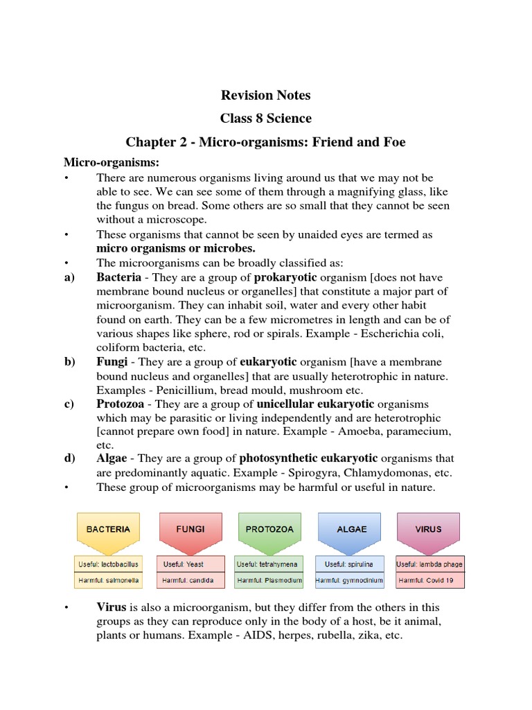 Revision Notes Class 8 Science Chapter 2 - Micro-Organisms: Friend and ...