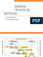 5.3 Mecanismos Inespecíficos de Defensa