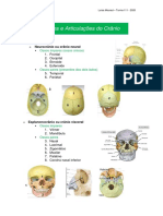 Aula 4 - Ossos e Articulações Do Crânio