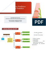 04 - Sistema Nervoso Periférico - Autônomo e Somático