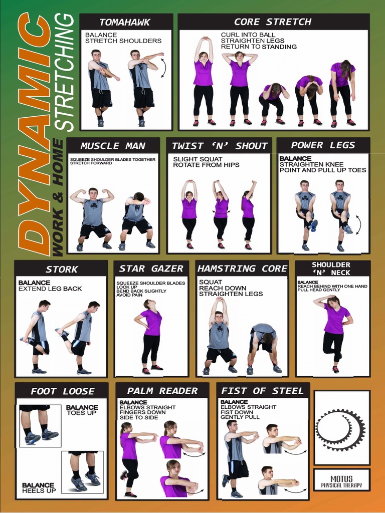 Dynamic Stretching | PDF