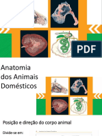 Anatomia Dos Animais Domésticos