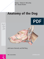 Anatomy of the dog