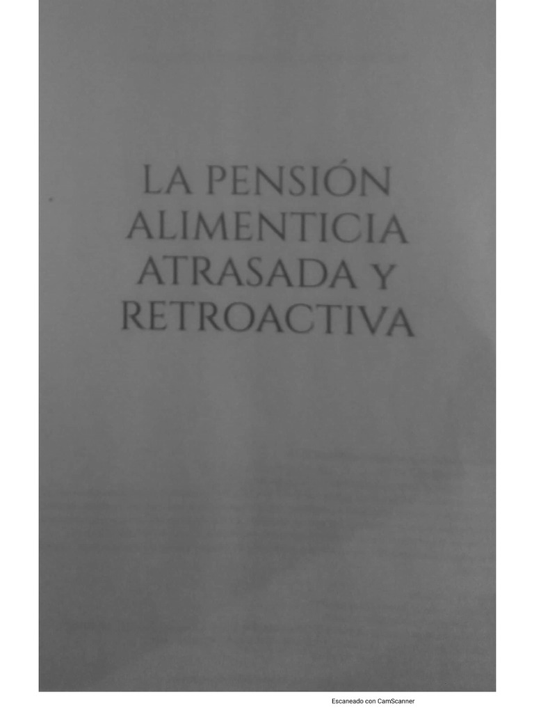 Pension Alimenticia Atrasada Y Retroactiva Pdf