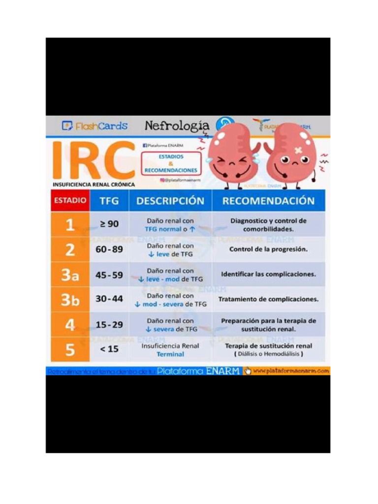 IRC Estadios | PDF