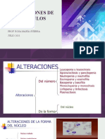 Clase 9 Alteraciones Cualitativas de Los Glóbulos Blancos