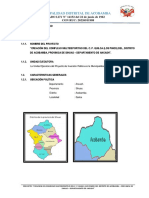 1.0 Resumen Ejecutivo