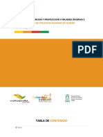 FORMATO PLAN DE NEGOCIOS Microempresa de Pollos de Engorde