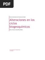 Download Alteraciones en Los Ciclos Biogeoquimicos by Ursula Trinidad SN58356876 doc pdf