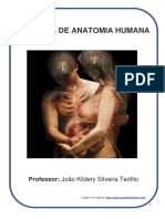 Anatomia Humana: Sistemas Esquelético e Respiratório