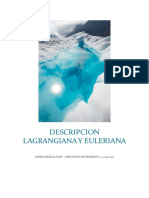 Lagrangiana y Euleriana: descripciones de la mecánica de fluidos