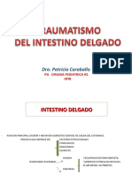 INT.DELGADO:FUNCIONES,ANATOMÍA,FISIOLOGÍA,PATOLOGÍA