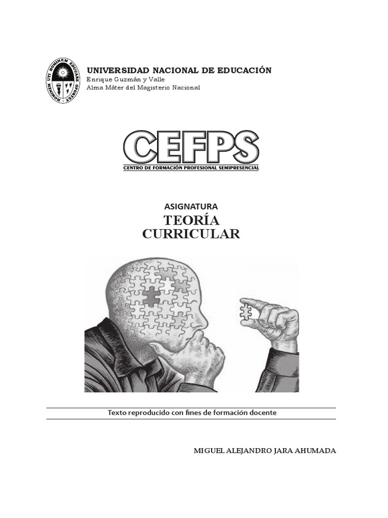 Teoria Curricular | PDF | Plan de estudios | Aprendizaje