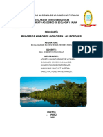 GRUPO 2.2-PROCESOS HIDROBIOLOGICOS DE LOS BOSQUES_064915
