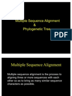 Multiple Sequence Alignment &amp Phylogenetic Tree