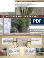Julia Pereda, 26863385 Sintesis, ACTIVIDAD 01 Corte 2, Agentes Del Deterioro