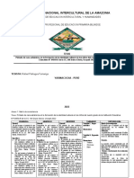 Matriz de Consistencia Rafael