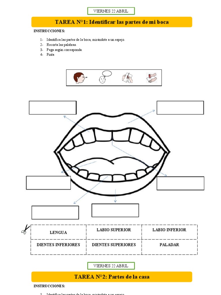 Pre-Kinder 10 Junio | PDF | Artes del Lenguaje y Comunicación
