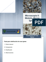 Microscopía II - Módulo Rocas Ígneas