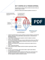 Fisiologia Flujo Sanguuineo