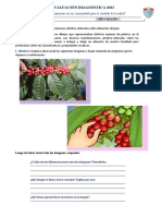 Evaluación Diagnóstica 2022 - 2