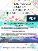 Pautas para La Puesta en Marcha Del Plan de Estudios