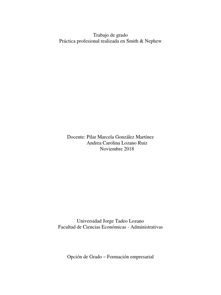 Smith and Nephew PDF Business Calidad