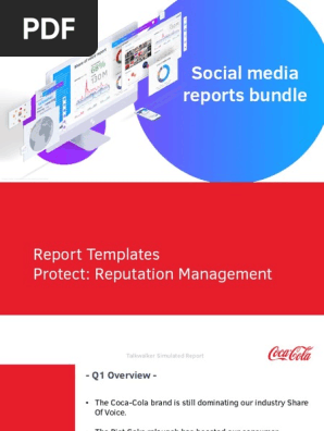 social media report