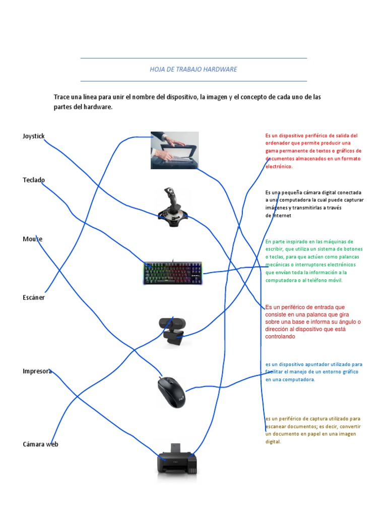 Hoja de Trabajo Hardware | PDF | Periférico | Hardware de la computadora