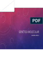 1.10 Genetica Molecular