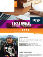 Becas Junaeb