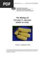 Download The Biology of Zea Mays L Ssp Mays Maize or Corn by Erik Kurniawan SN58362205 doc pdf